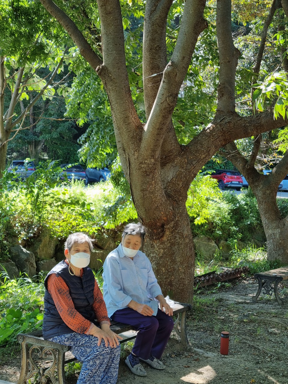 1948697120_PpjyeFoU_d91c9cc778a96114dd1f4f80e71d70e3ab436100.jpg 이미지크게보기