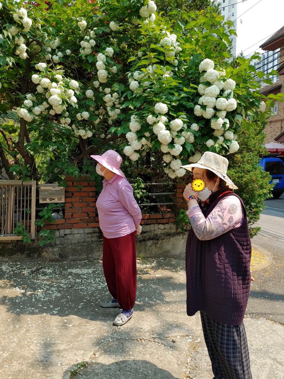 1948697120_w61XGe90_62216dca70615e646a42f98ec8d5465be7c13757.jpg 이미지크게보기