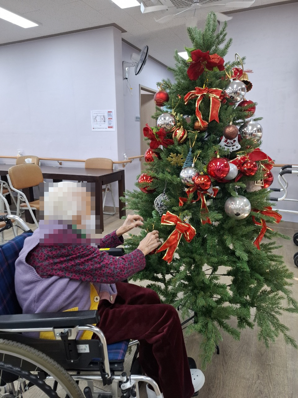 /user/y/youth/editor/2512/ef704003fb9accb0095f1a168119ad3d_1764892891_0517.jpg 이미지크게보기