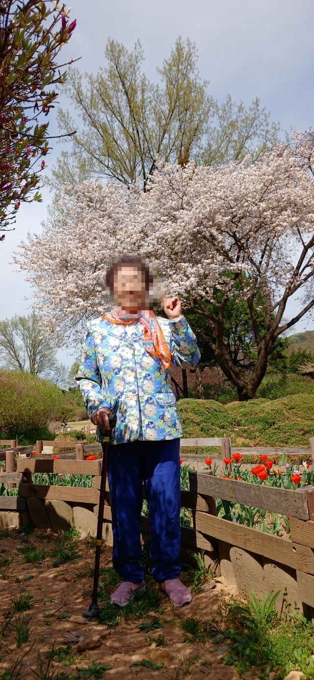 /user/y/youth/editor/2604/99478b87ec66455429ec68e5faf1280d_1776348837_7546.jpg 이미지크게보기