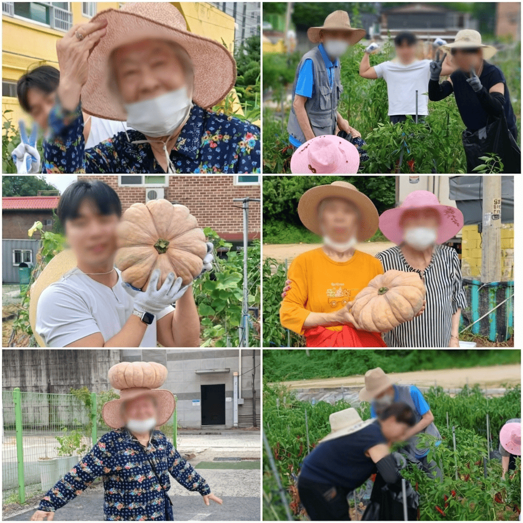 /user/y/youth/editor/2608/b0339bc80e269906d55eada5d1db931b_1786855916_4777.png 이미지크게보기